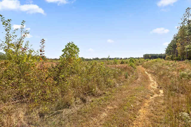 $228,000 | 0 Doc Roberts Road, Spencer, TN 38585