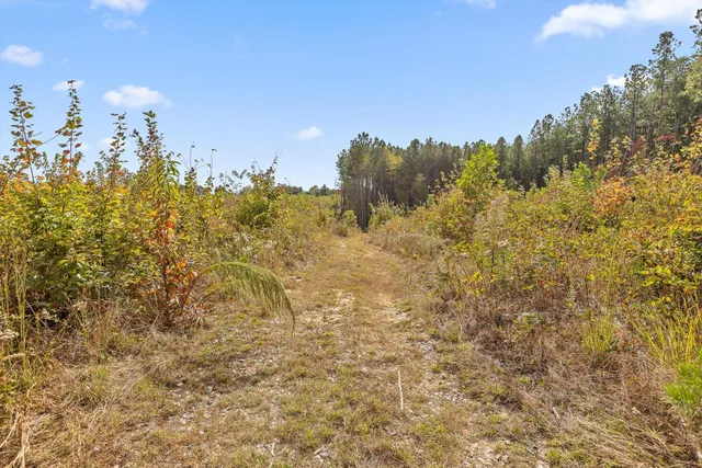 $228,000 | 0 Doc Roberts Road, Spencer, TN 38585