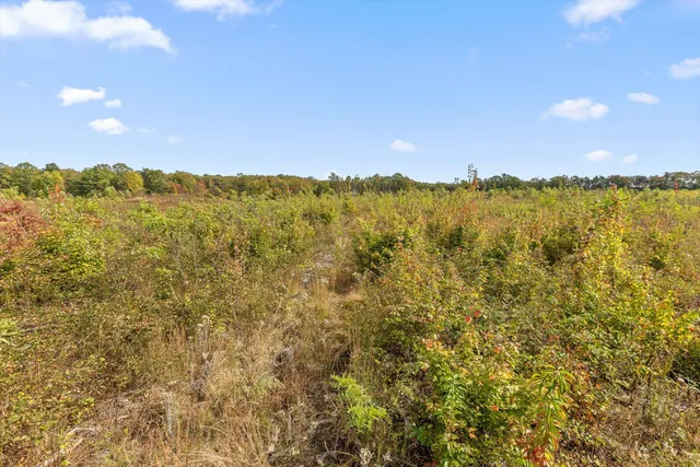 $228,000 | 0 Doc Roberts Road, Spencer, TN 38585