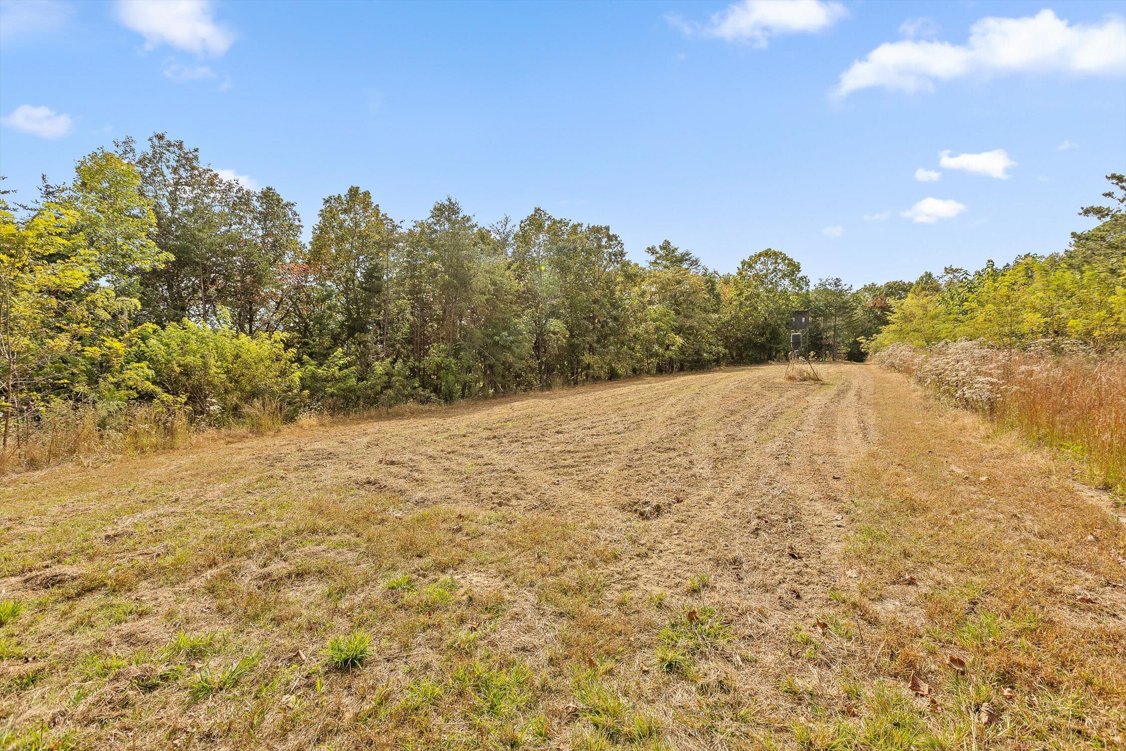 0 Doc Roberts Road Spencer, TN 38585 - Photo 29 of 38 Roberts Road, Spencer, TN 38585
