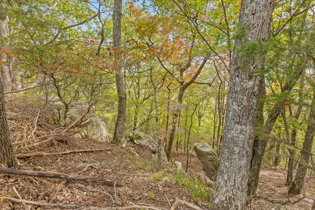 $228,000 | 0 Doc Roberts Road, Spencer, TN 38585