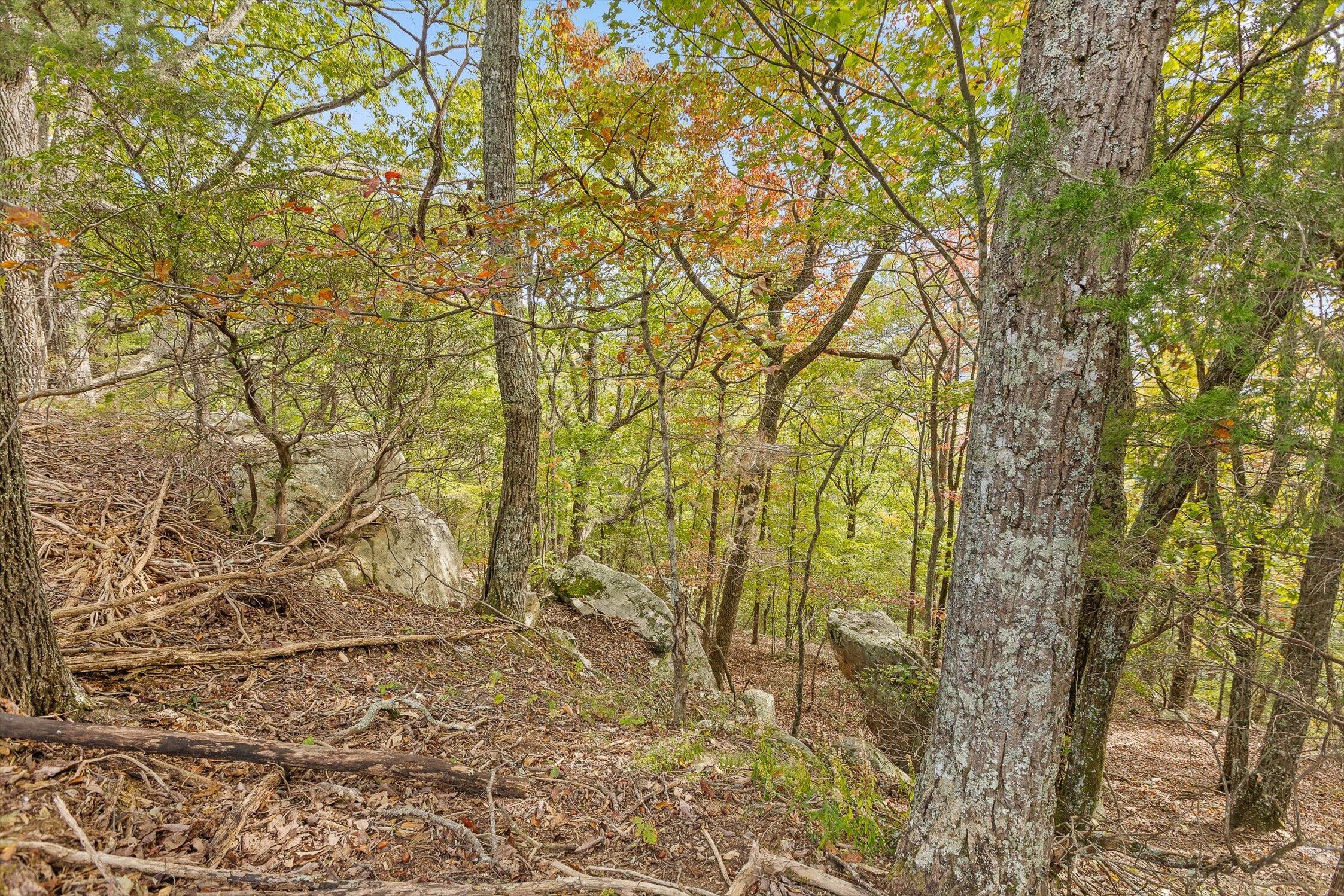 0 Doc Roberts Road Spencer, TN 38585 - Photo 30 of 38 Roberts Road, Spencer, TN 38585