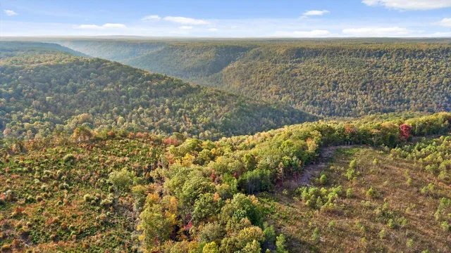 $228,000 | 0 Doc Roberts Road, Spencer, TN 38585