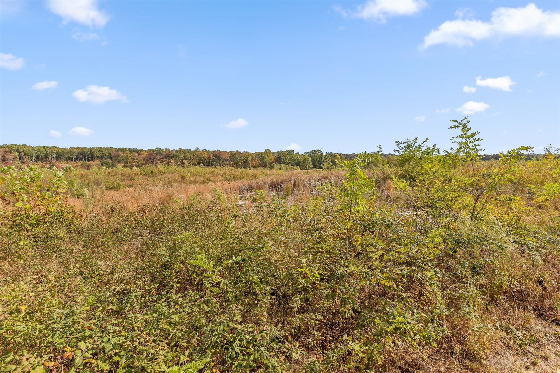 0 Doc Roberts Road Spencer, TN 38585 - Photo 33 of 38 Roberts Road, Spencer, TN 38585