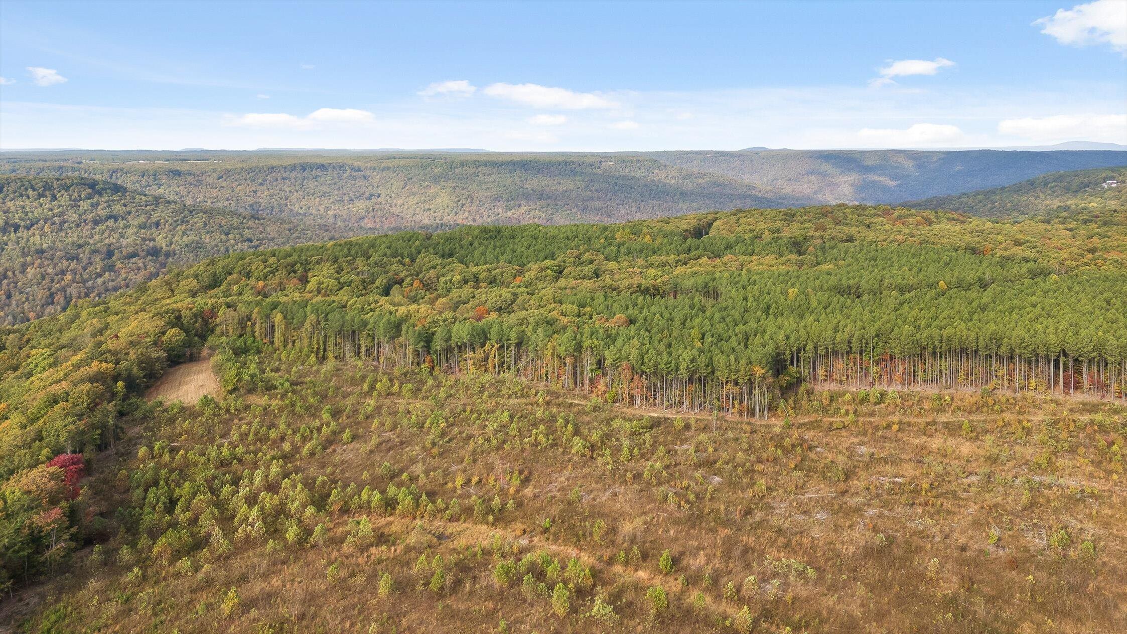 0 Doc Roberts Road Spencer, TN 38585 - Photo 38 of 38 Roberts Road, Spencer, TN 38585