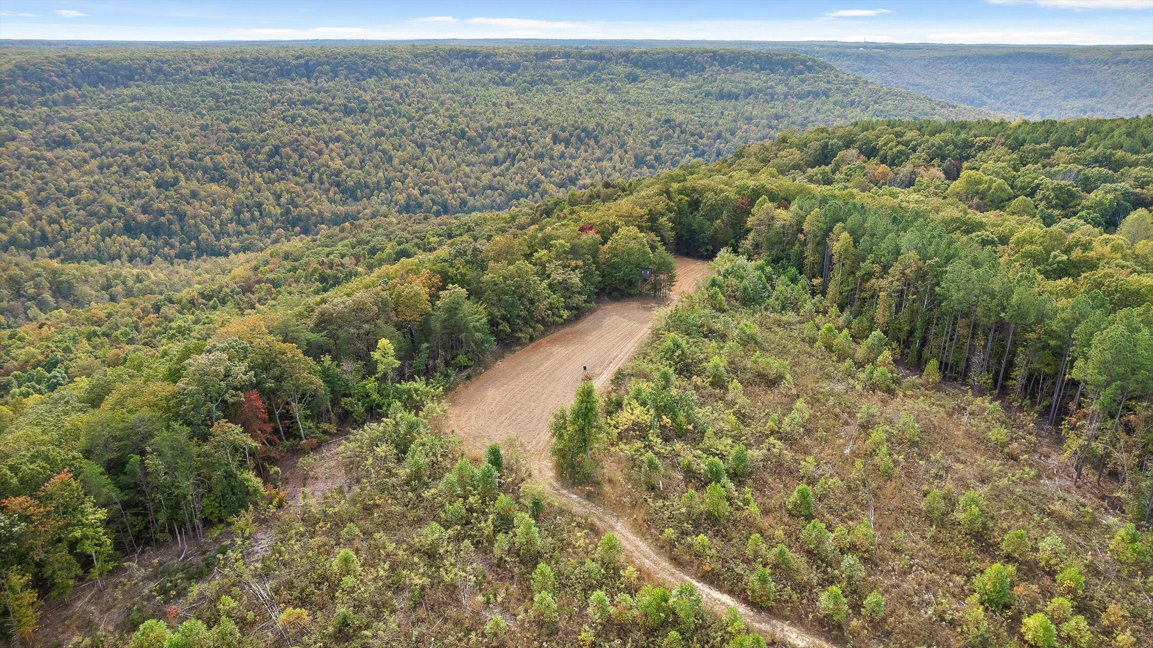 0 Doc Roberts Road Spencer, TN 38585 - Photo 4 of 38 Roberts Road, Spencer, TN 38585