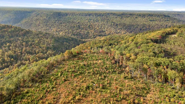 $228,000 | 0 Doc Roberts Road, Spencer, TN 38585