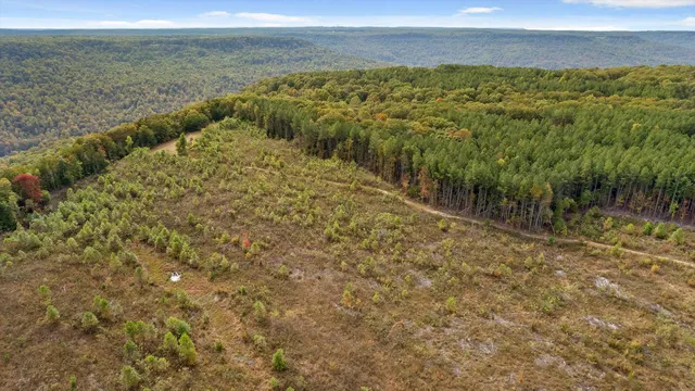 $228,000 | 0 Doc Roberts Road, Spencer, TN 38585