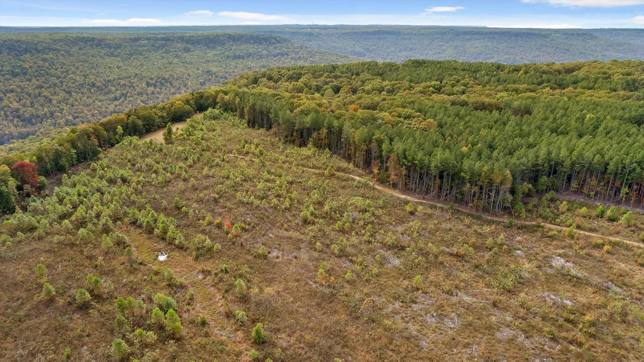 0 Doc Roberts Road Spencer, TN 38585 - Photo 8 of 38 Roberts Road, Spencer, TN 38585