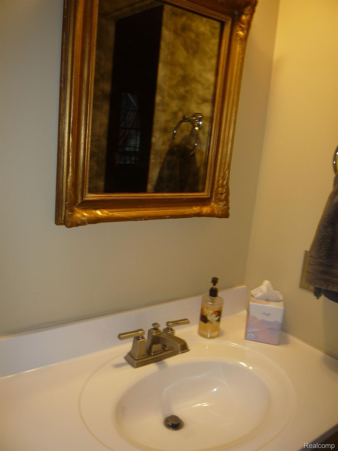 1423 Rillview Court Metamora, MI 48455 - Photo 27 of 62 lavatory