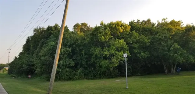 a view of a field with a tree in the background