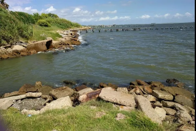 a view of a bench in backyard of house