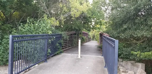 a view of a trees with yard