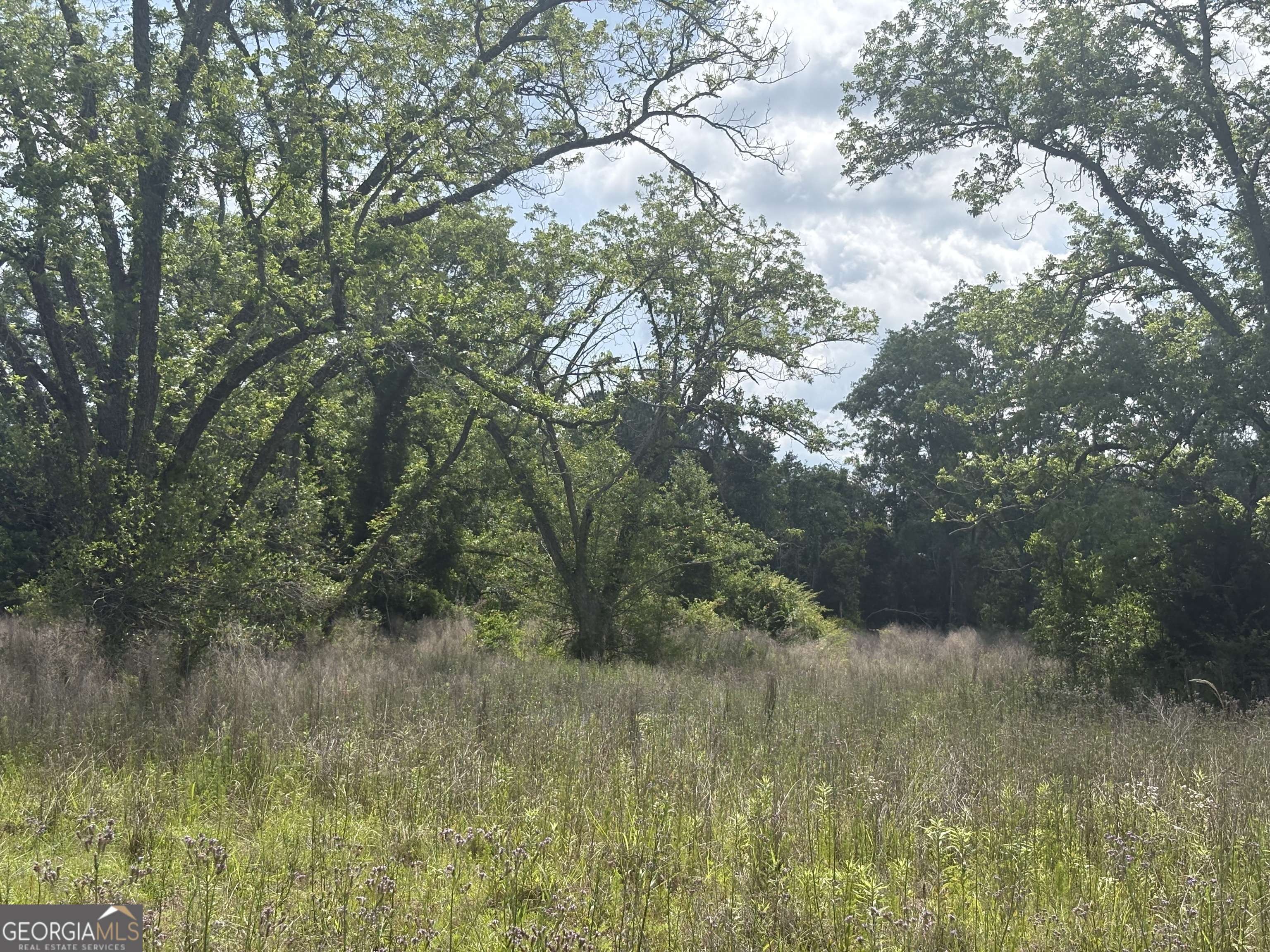 0 East Road Fitzgerald, GA 31750 - Photo 3 of 3