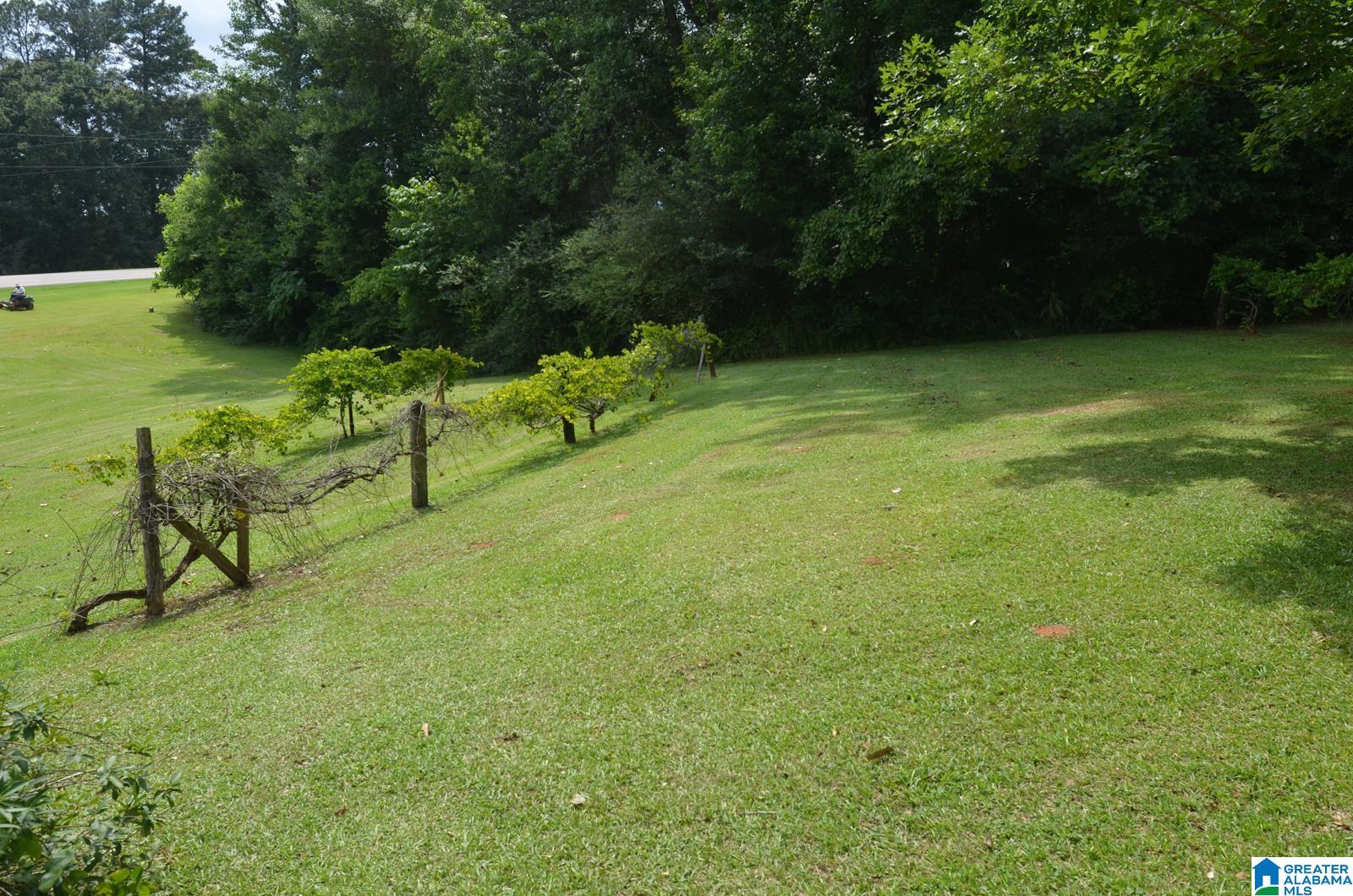 12691 Highway 46 Heflin, AL 36264 - Photo 14 of 63