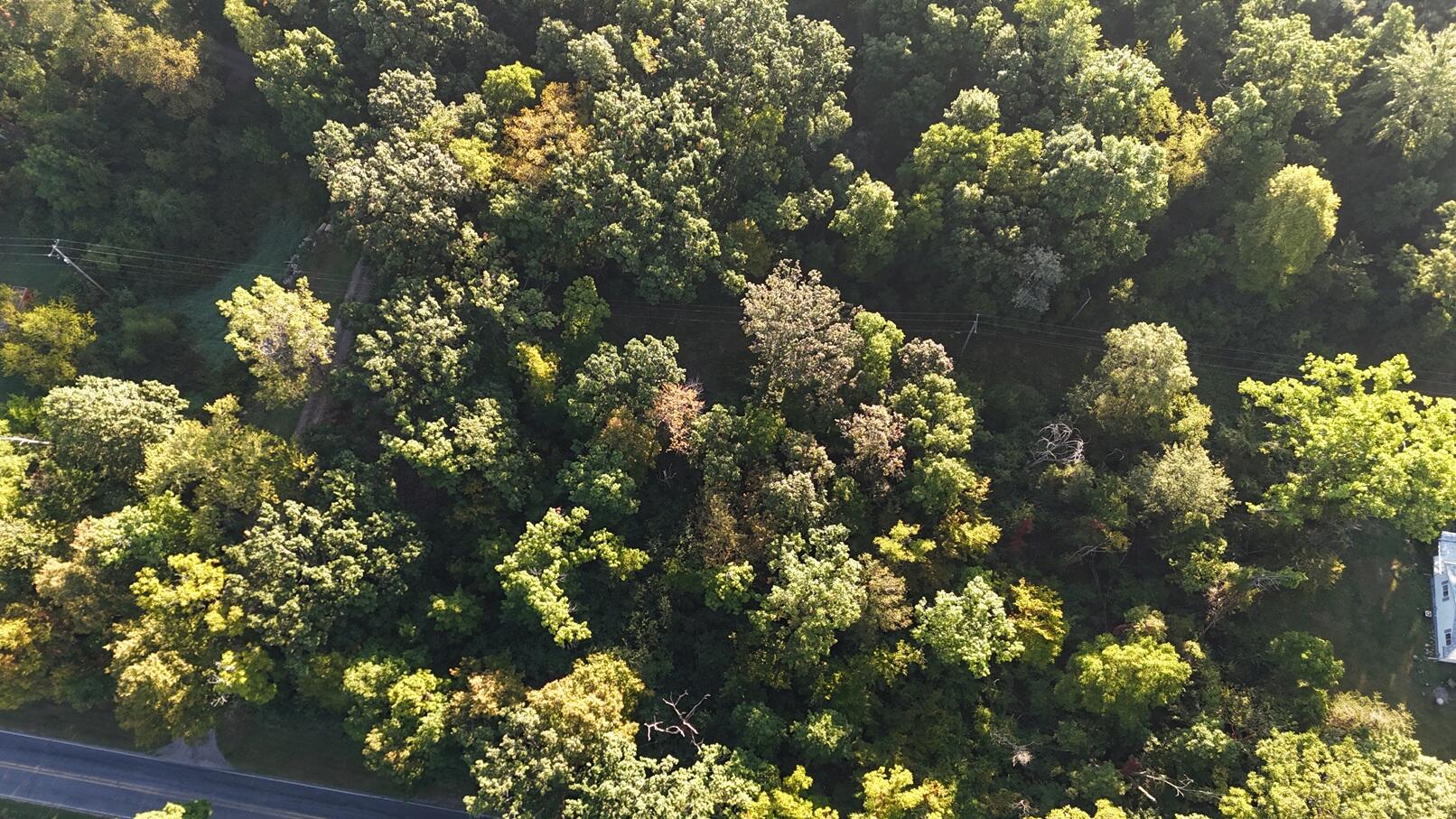 V/l Ocean Beach Road Clarklake, MI 49234 - Photo 16 of 20 DJI_20250915085113_0166_D