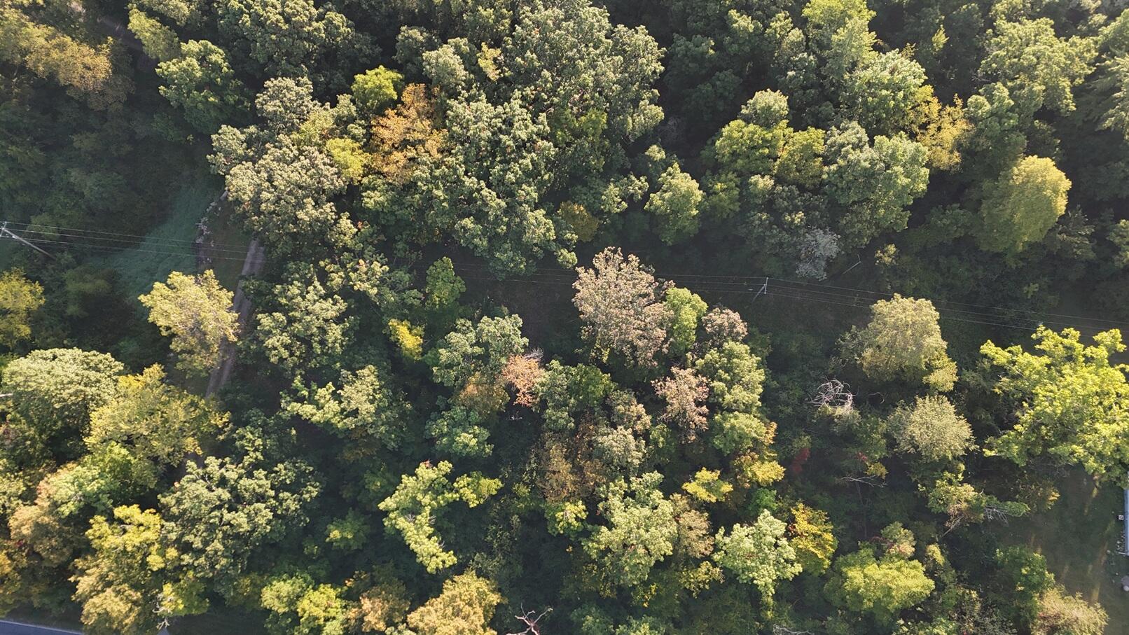 V/l Ocean Beach Road Clarklake, MI 49234 - Photo 17 of 20 DJI_20250915085120_0167_D