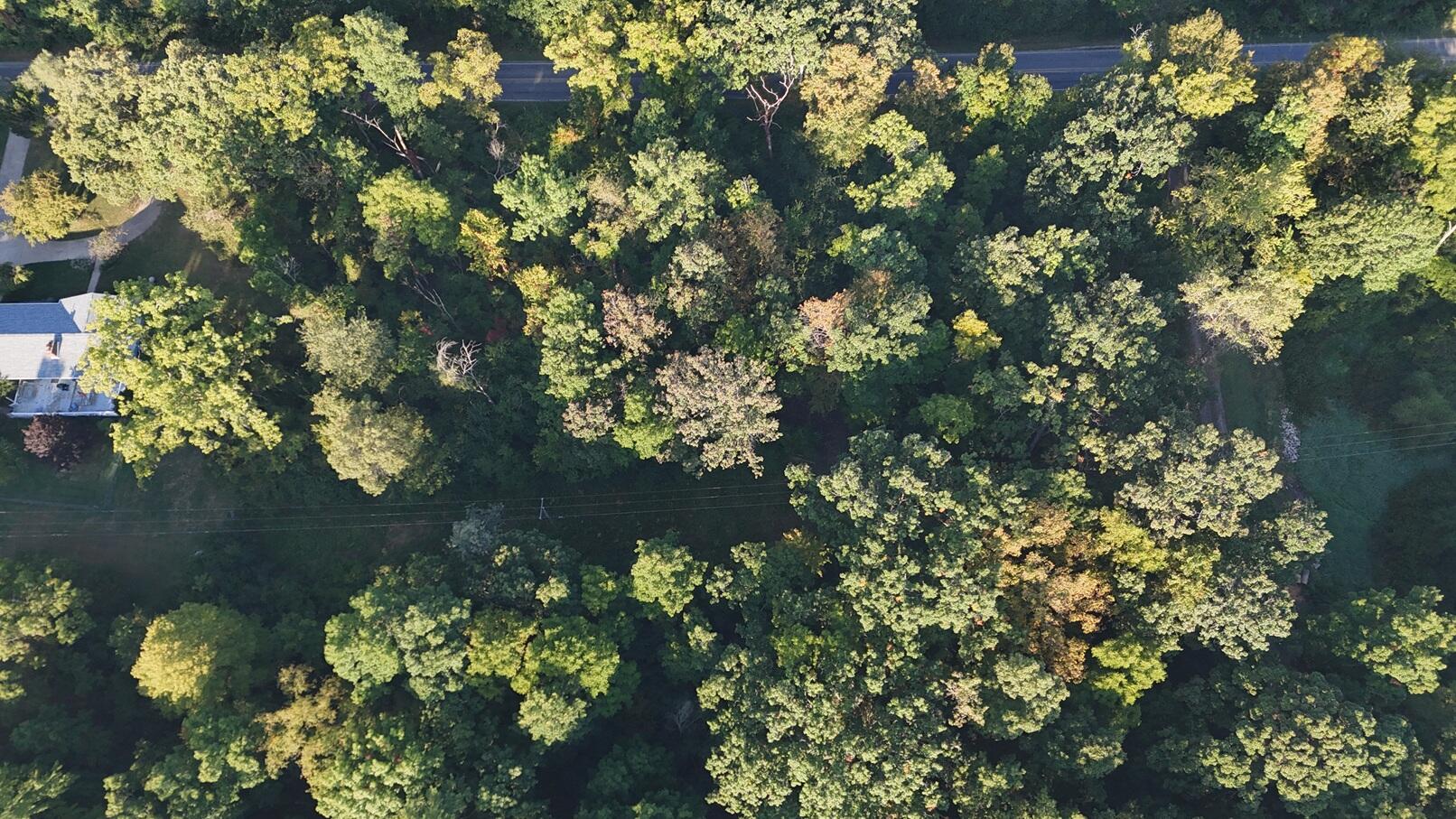 V/l Ocean Beach Road Clarklake, MI 49234 - Photo 18 of 20 DJI_20250915085145_0169_D