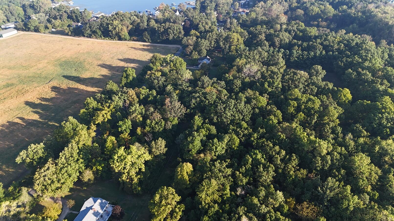 V/l Ocean Beach Road Clarklake, MI 49234 - Photo 5 of 20 DJI_20250915084849_0151_D
