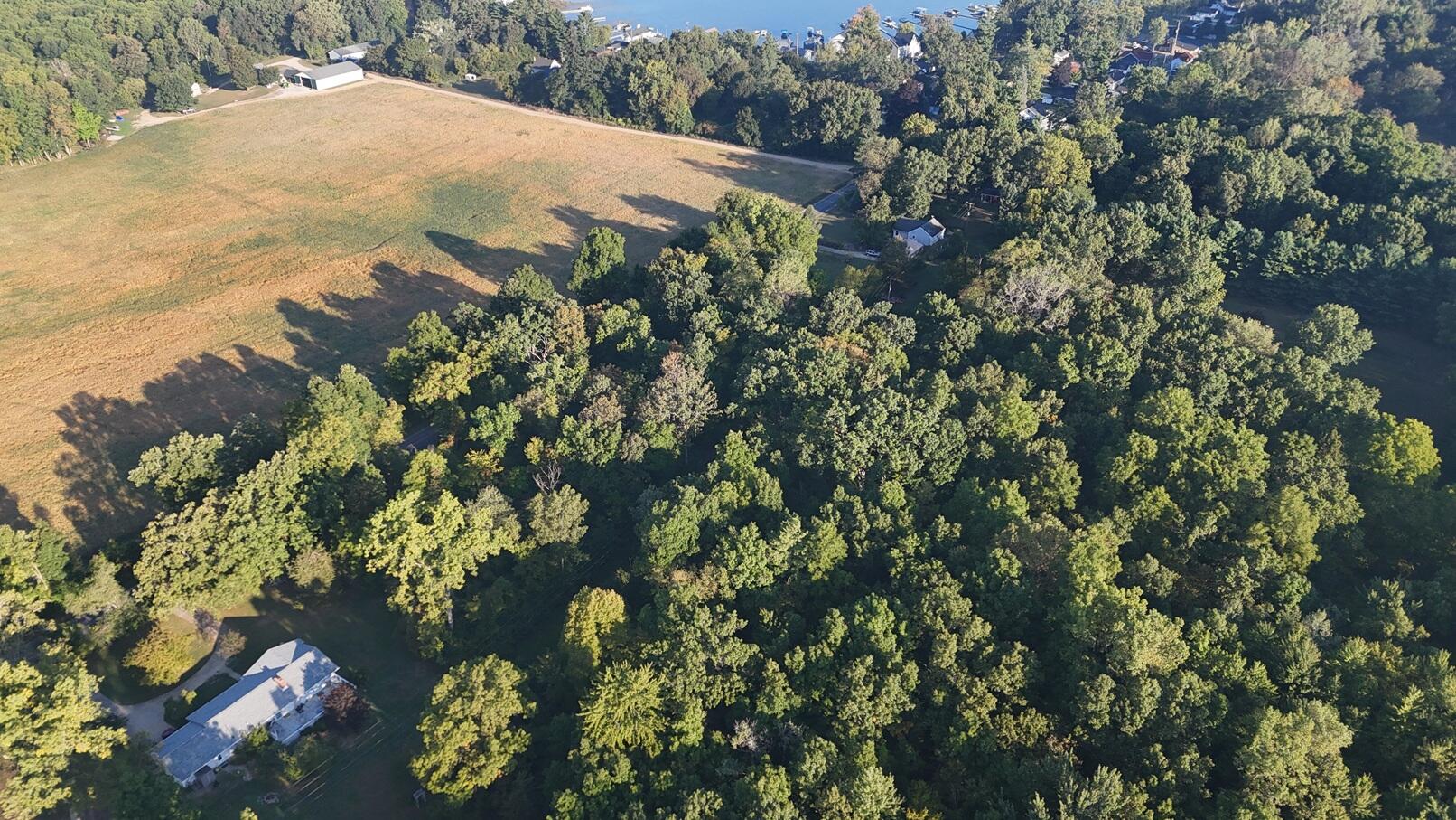 V/l Ocean Beach Road Clarklake, MI 49234 - Photo 6 of 20 DJI_20250915084859_0152_D