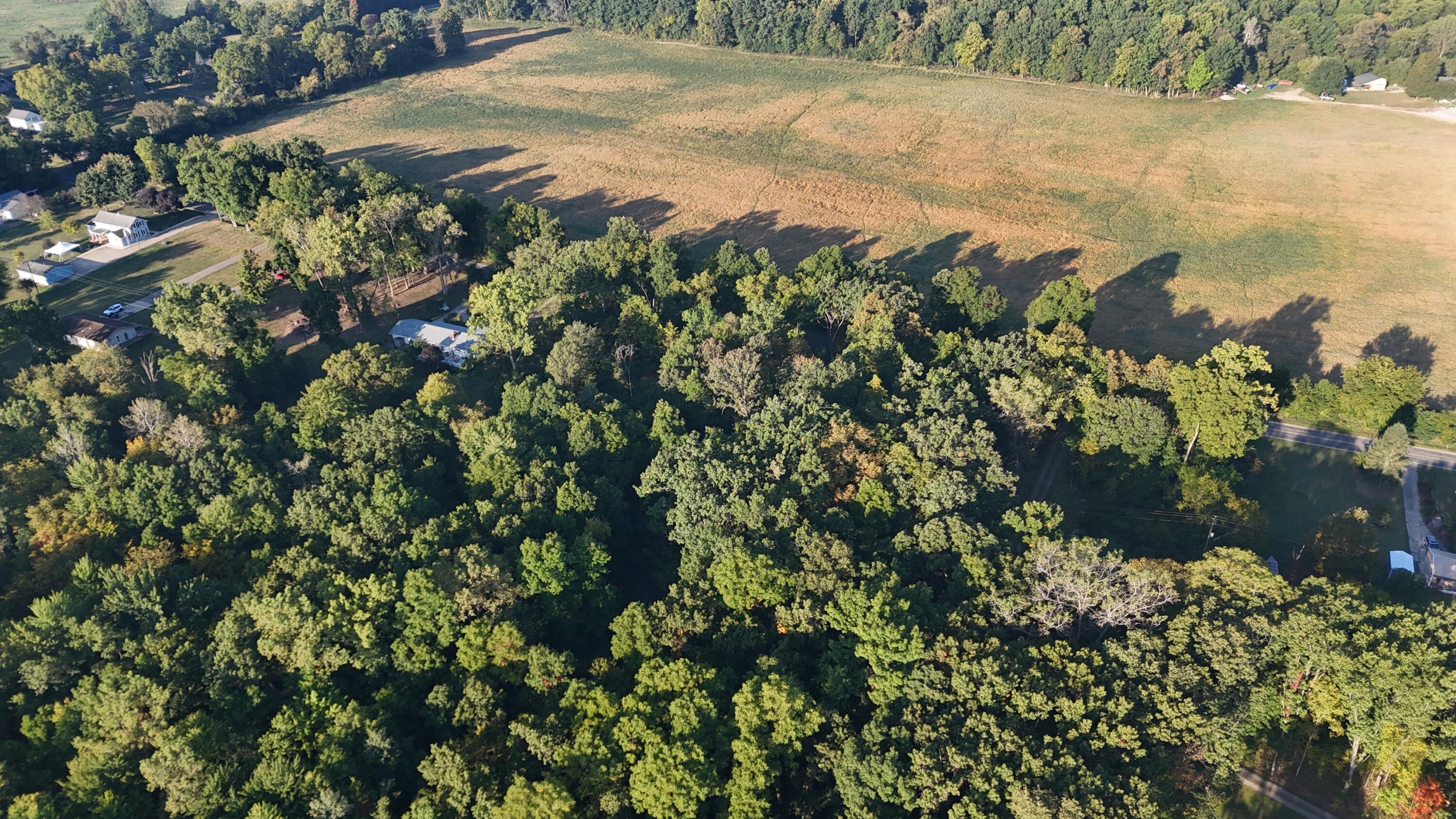 V/l Ocean Beach Road Clarklake, MI 49234 - Photo 9 of 20 DJI_20250915084929_0155_D