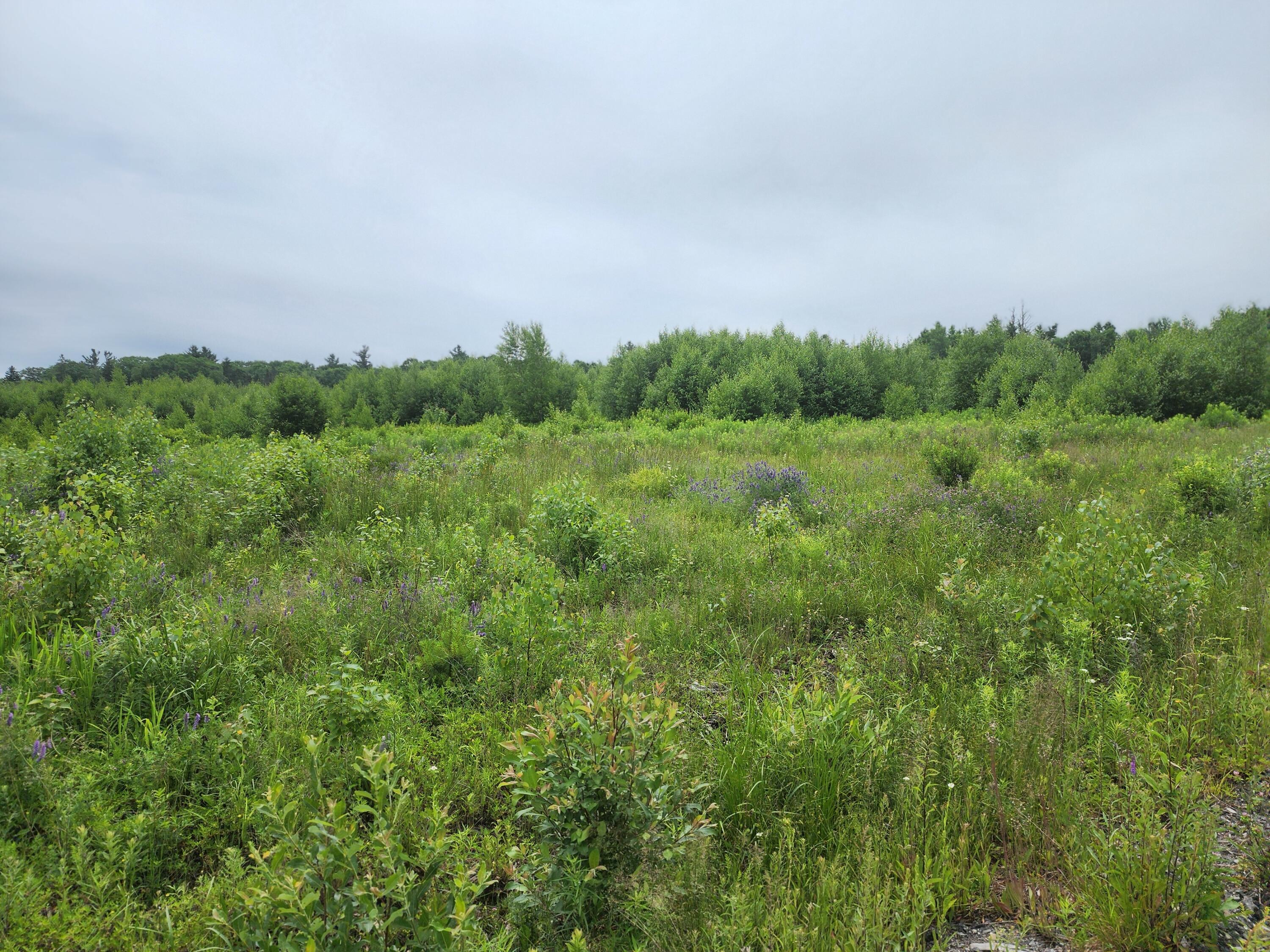 213 Moose Hl Road Ellsworth, ME 04605 - Photo 11 of 34 20250701_112845