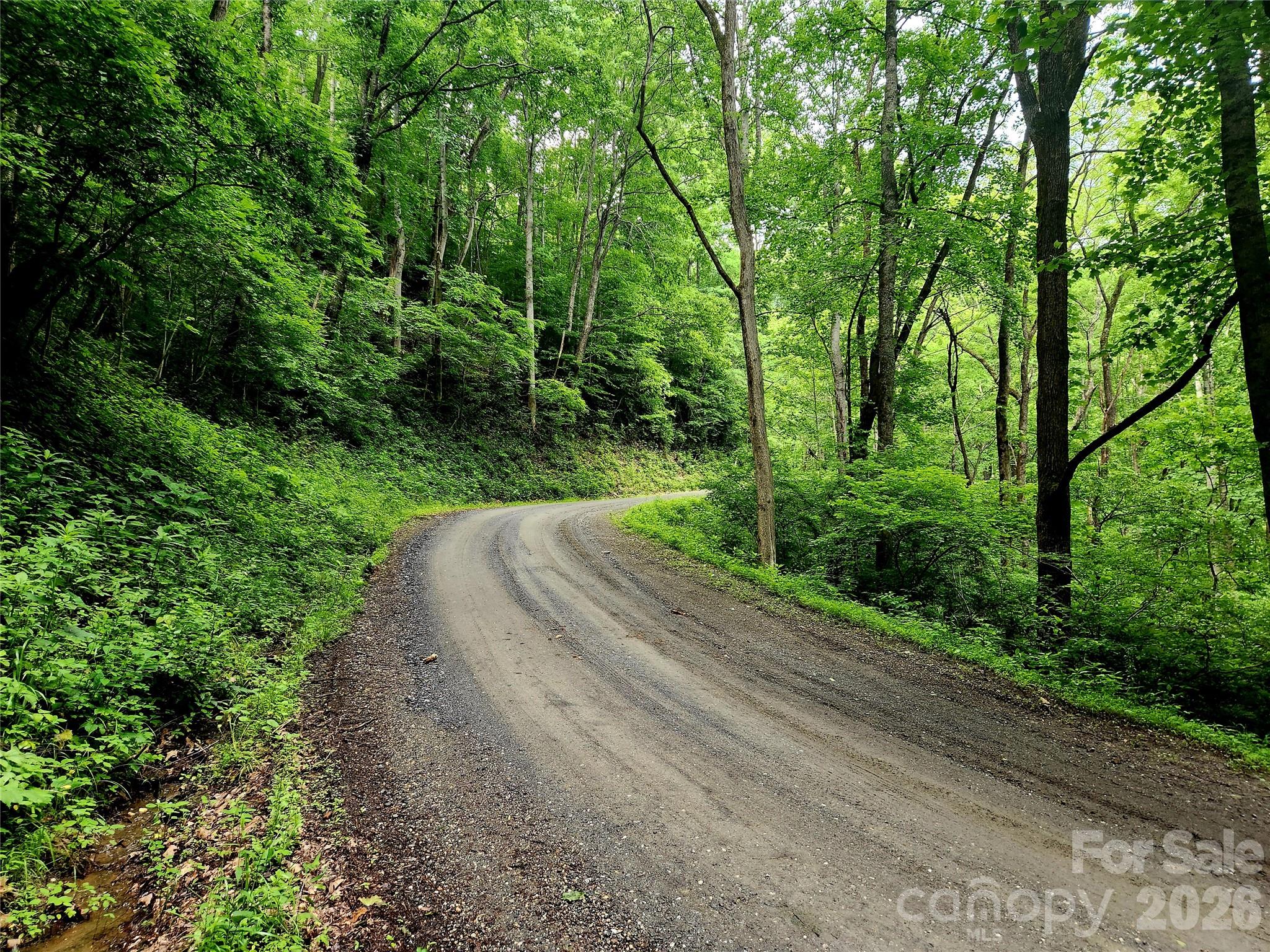 0 Brasstown Road Cullowhee, NC 28723 - Photo 27 of 37 Gallery Image 27