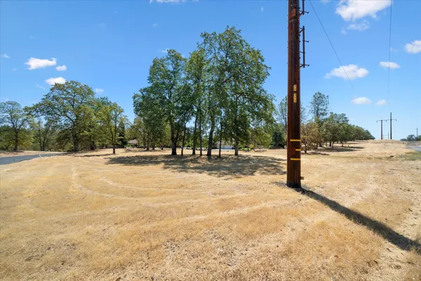 a view of road with trees