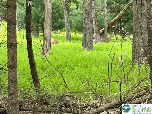 $175,000 | Male Road, Wind Gap, PA 18091