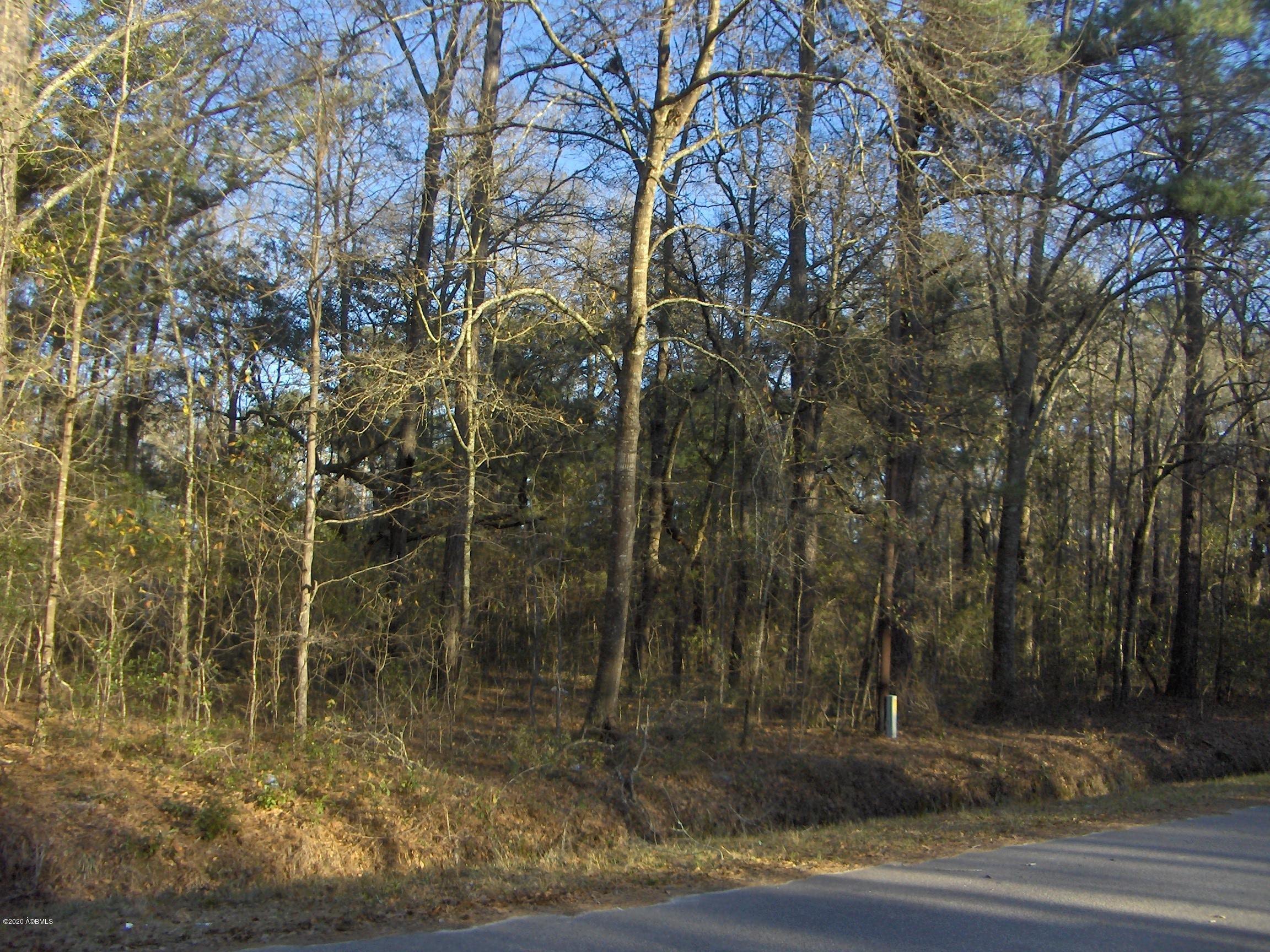 73 Beach Street Ridgeland, SC 29936 - Photo 1 of 1 HPIM6225