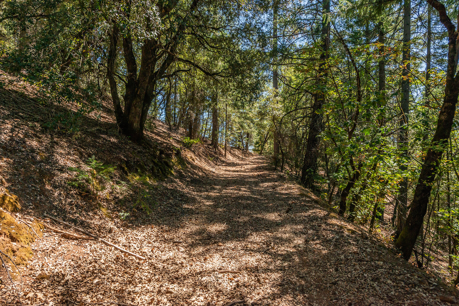 1511 Upper Moore Gulch Road Trinity Center, CA 96091 - Photo 25 of 62 DSC_6687