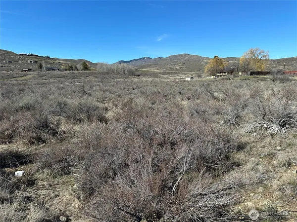 a view of mountains in middle of a field