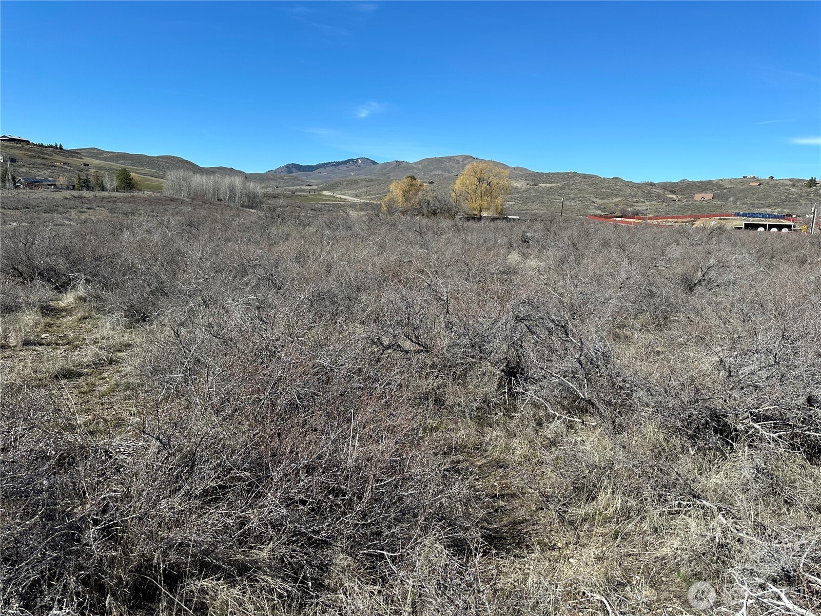 81 West Chewuch Road Winthrop, WA 98862 - Photo 15 of 29 a view of a mountain in the distance