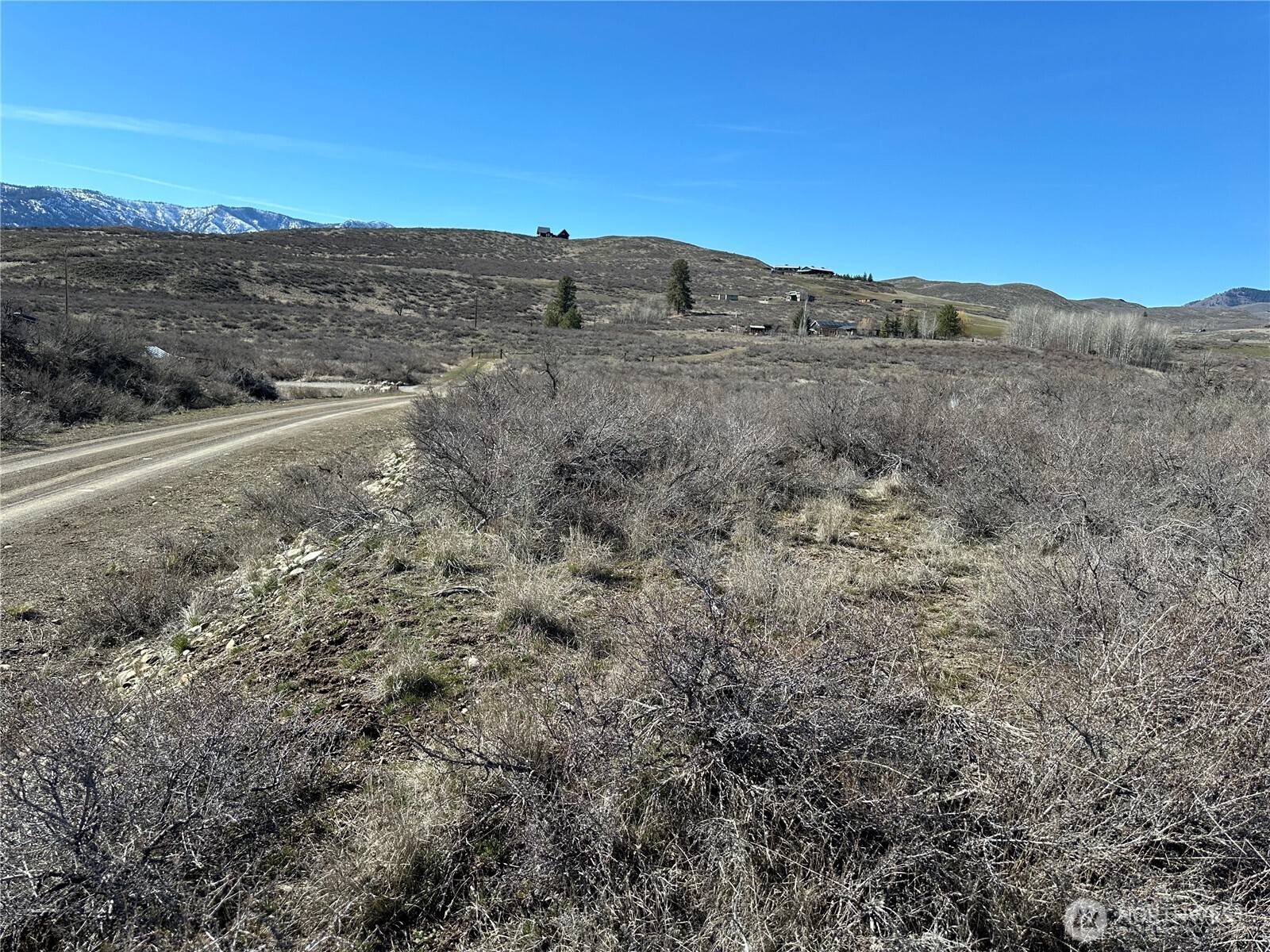 81 West Chewuch Road Winthrop, WA 98862 - Photo 16 of 29 a view of a dry field with mountains in the background
