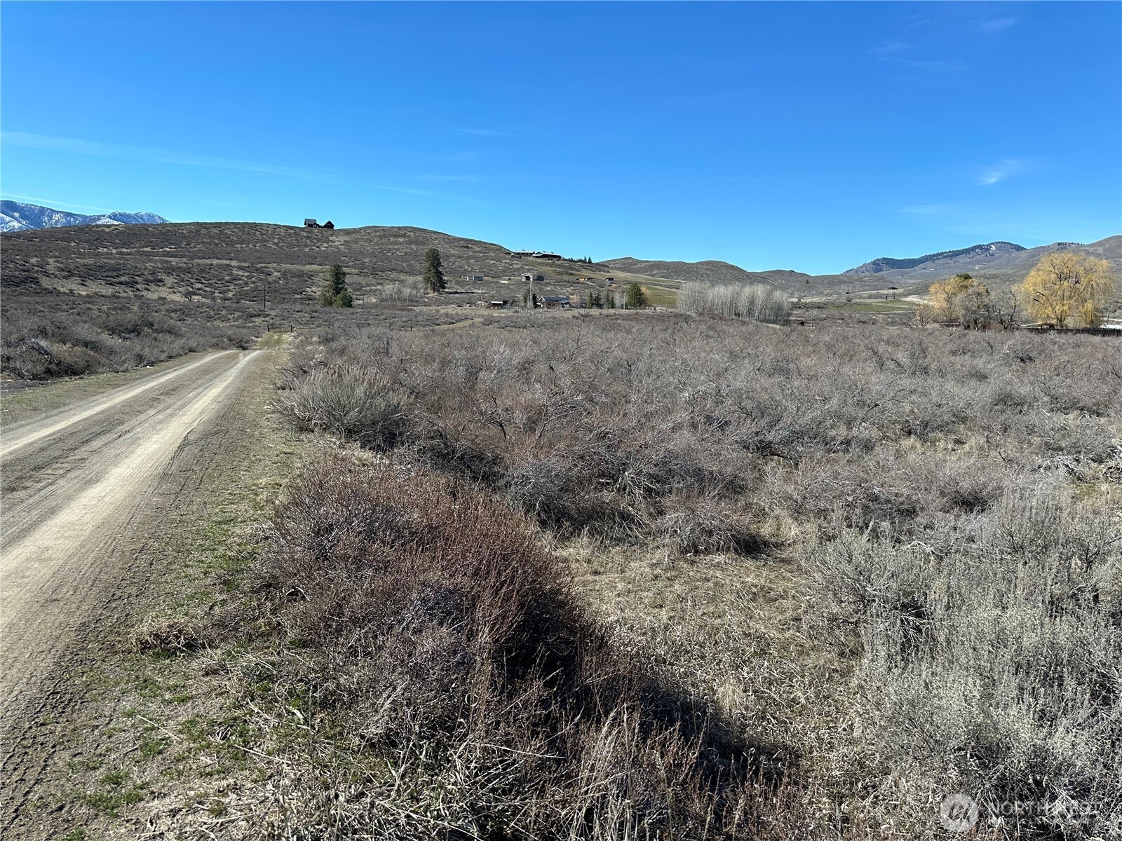 81 West Chewuch Road Winthrop, WA 98862 - Photo 17 of 29 a view of a dry yard with mountain view