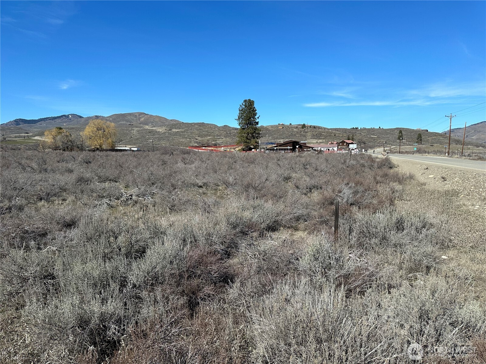 81 West Chewuch Road Winthrop, WA 98862 - Photo 18 of 29 a view of a dry field with trees in the background