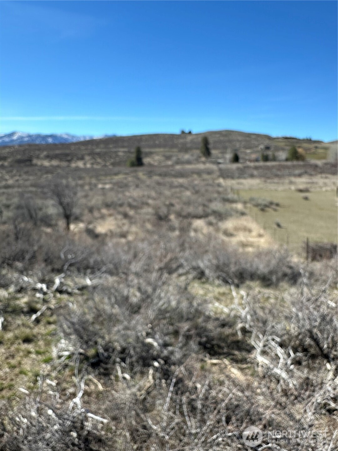 81 West Chewuch Road Winthrop, WA 98862 - Photo 19 of 29 a view of beach and ocean