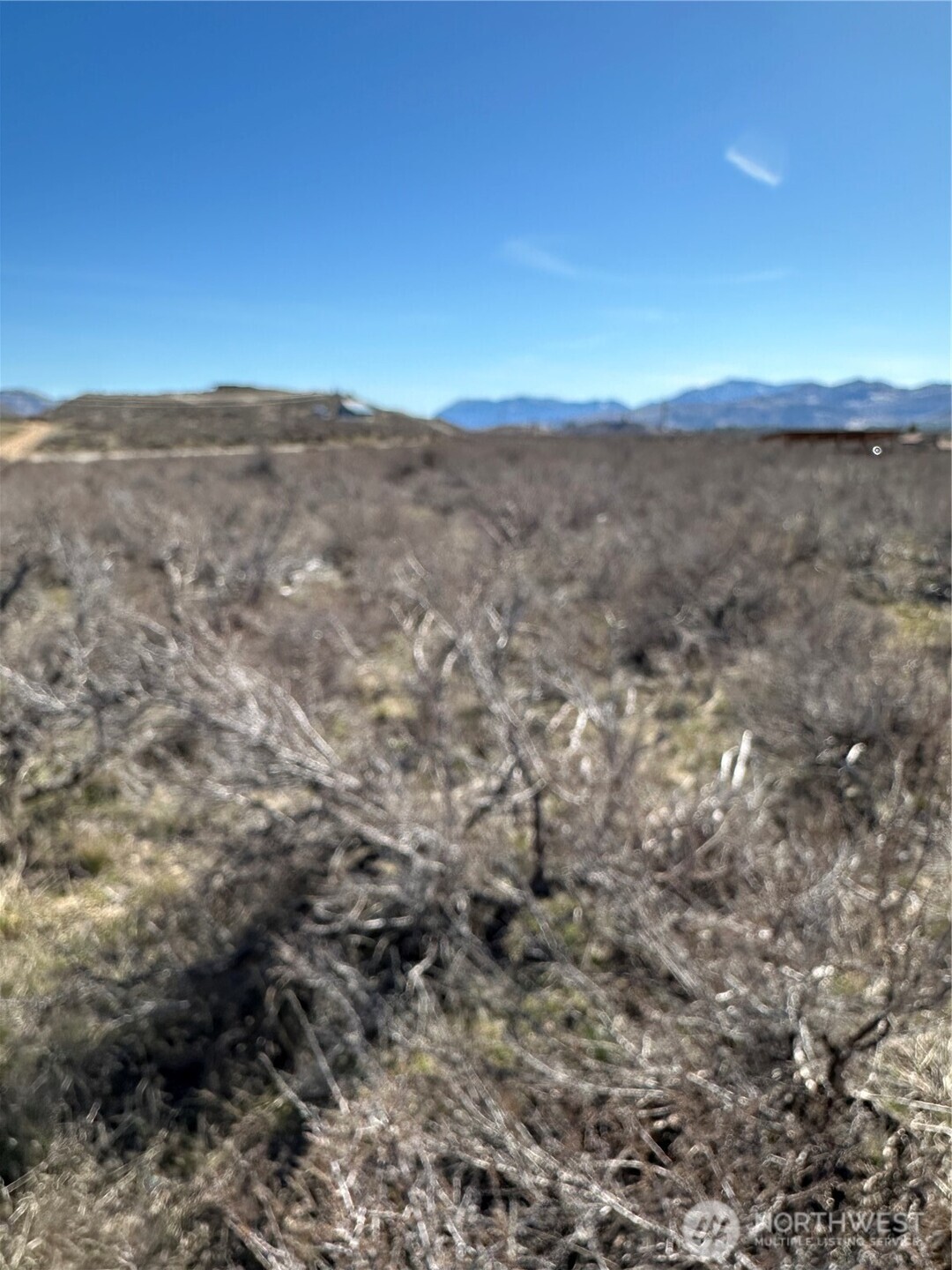 81 West Chewuch Road Winthrop, WA 98862 - Photo 21 of 29 a view of mountain view with beach