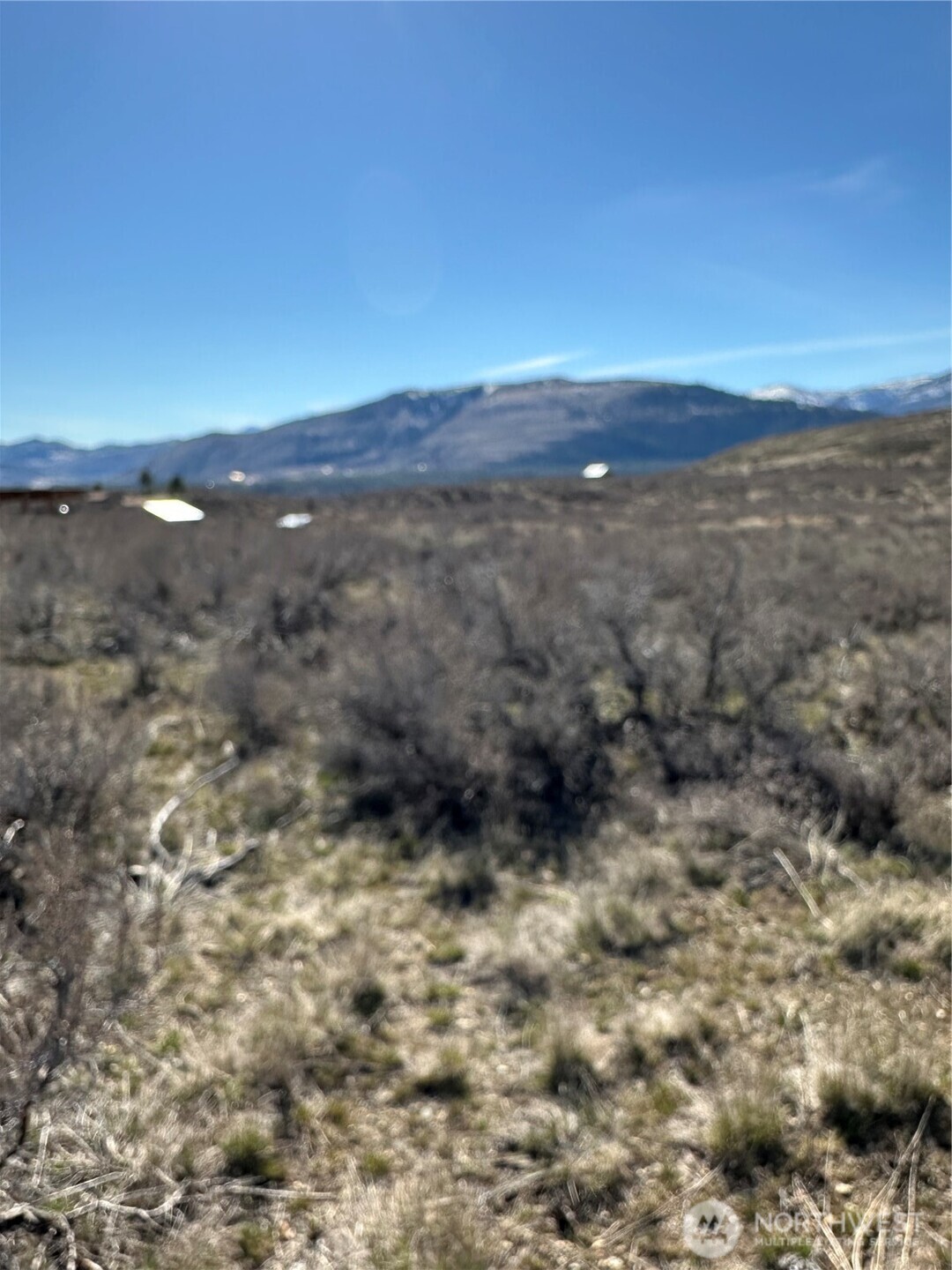 81 West Chewuch Road Winthrop, WA 98862 - Photo 25 of 29 a view of outdoor space and trees