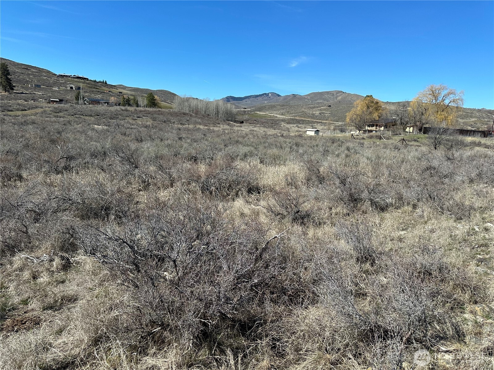 81 West Chewuch Road Winthrop, WA 98862 - Photo 3 of 29 a view of a mountain range with trees in the background
