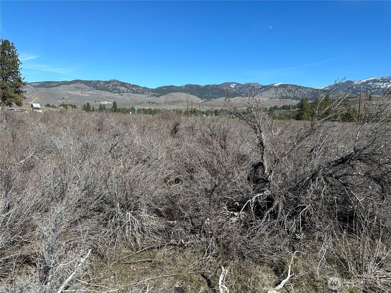 81 West Chewuch Road Winthrop, WA 98862 - Photo 6 of 29 a view of a mountain in the distance
