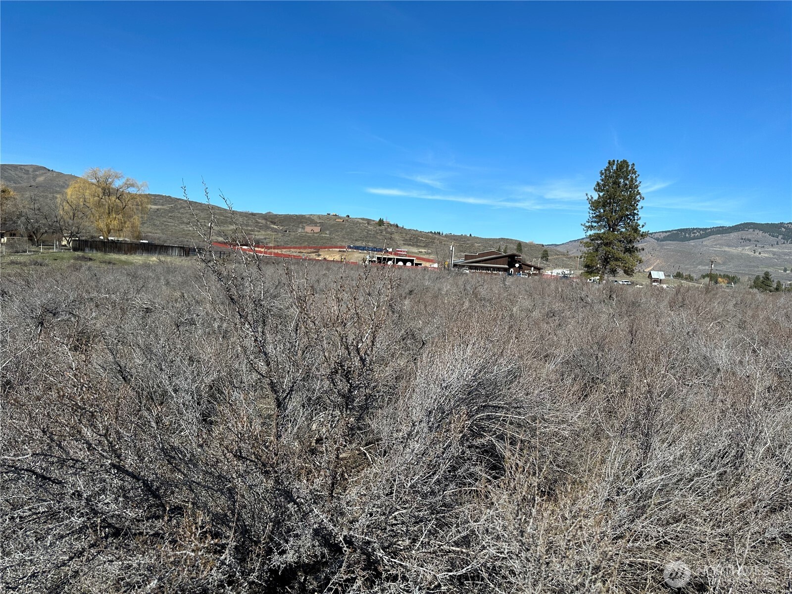 81 West Chewuch Road Winthrop, WA 98862 - Photo 7 of 29 a view of a dry yard with trees