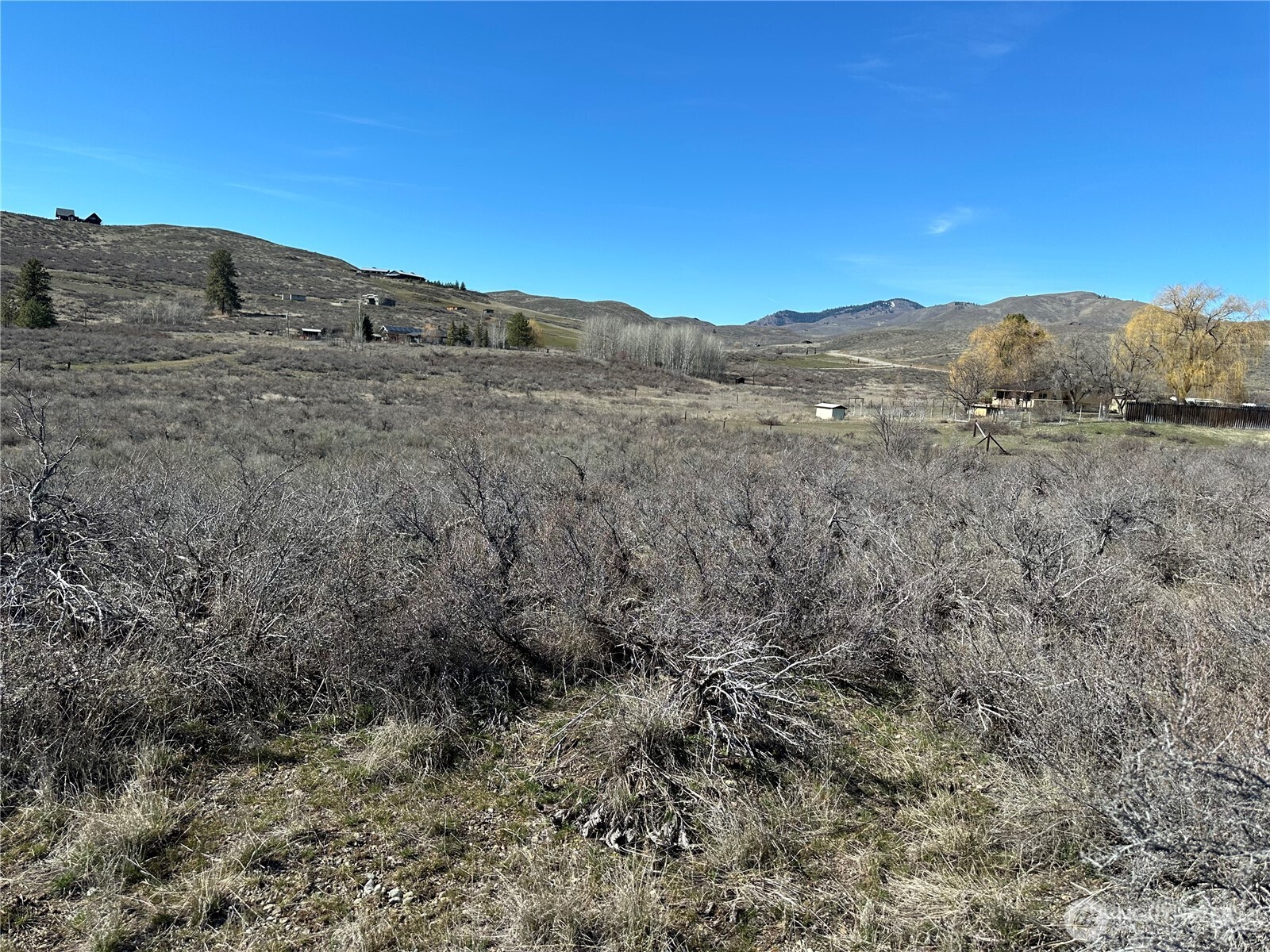 81 West Chewuch Road Winthrop, WA 98862 - Photo 8 of 29 a view of a dry field