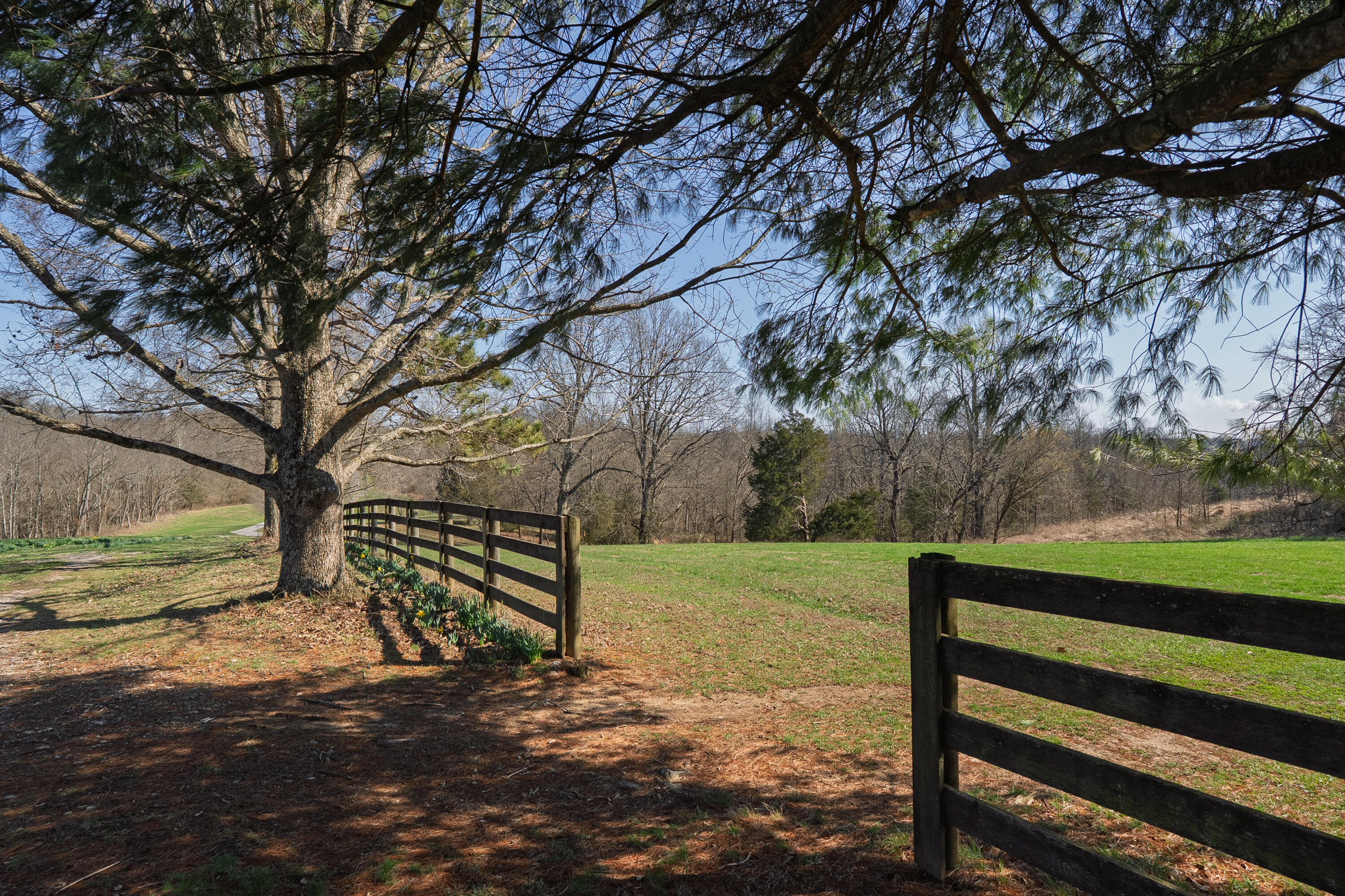 11213 East Bend Road Union, KY 41091 - Photo 44 of 47