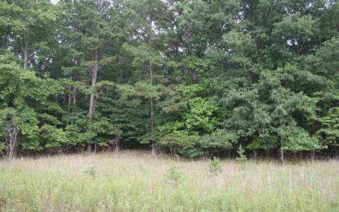 Lot 1 Blue Ridge View Blairsville, GA 30512 - Photo 1 of 1 Main View