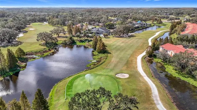a view of a swimming pool with a bench and trees