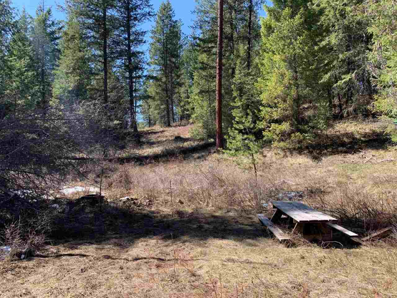 Bxxx Rose Hill Road Springdale, WA 99173 - Photo 4 of 6