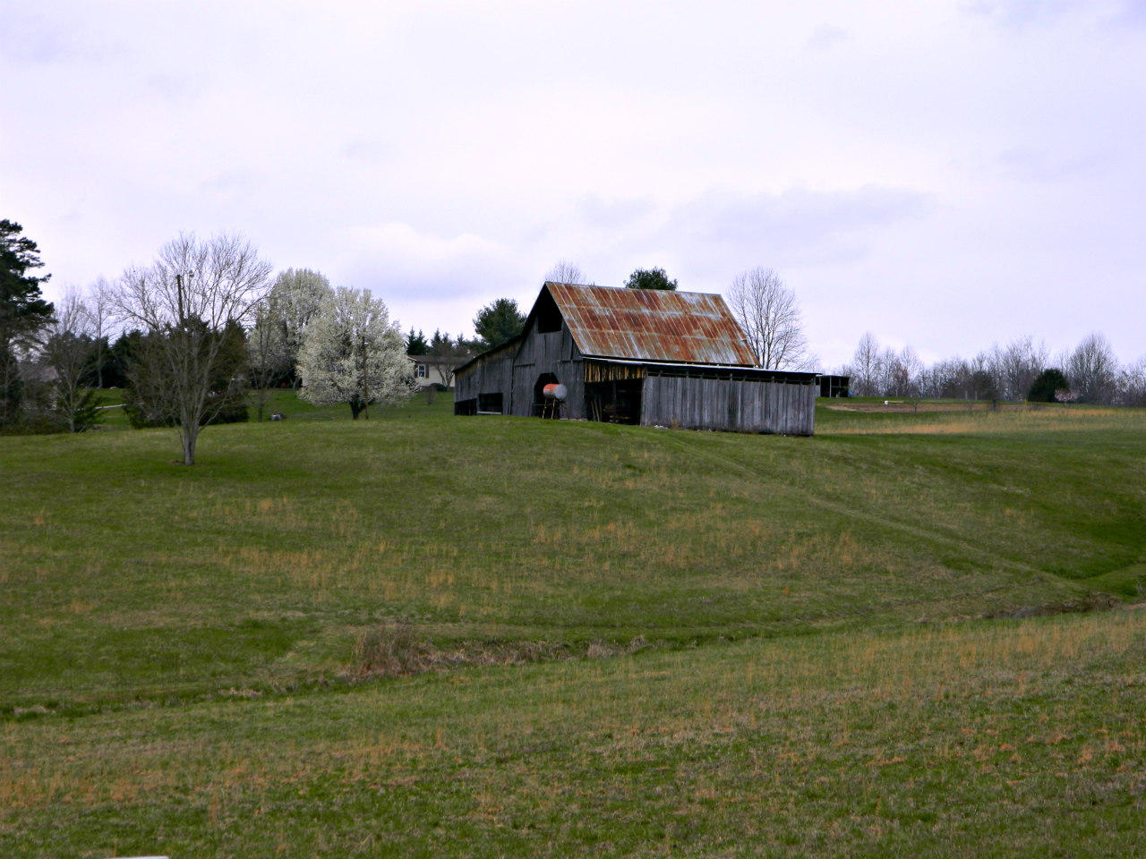 2 Slaton Farm Road Dandridge, TN 37725 - Photo 1 of 11 DSCN2857