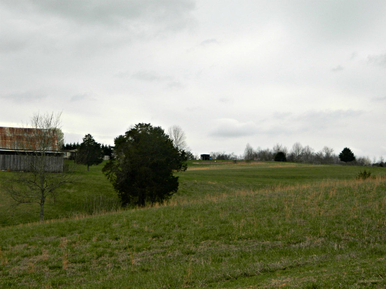 2 Slaton Farm Road Dandridge, TN 37725 - Photo 3 of 11 DSCN2858