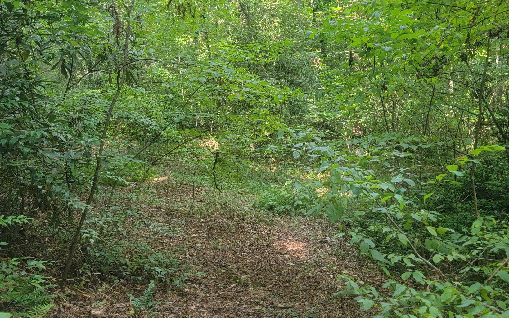 Pine Log Road Brasstown, NC 28902 - Photo 19 of 32 Additional View